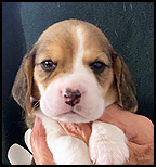 Boy 1 Front Wk 4